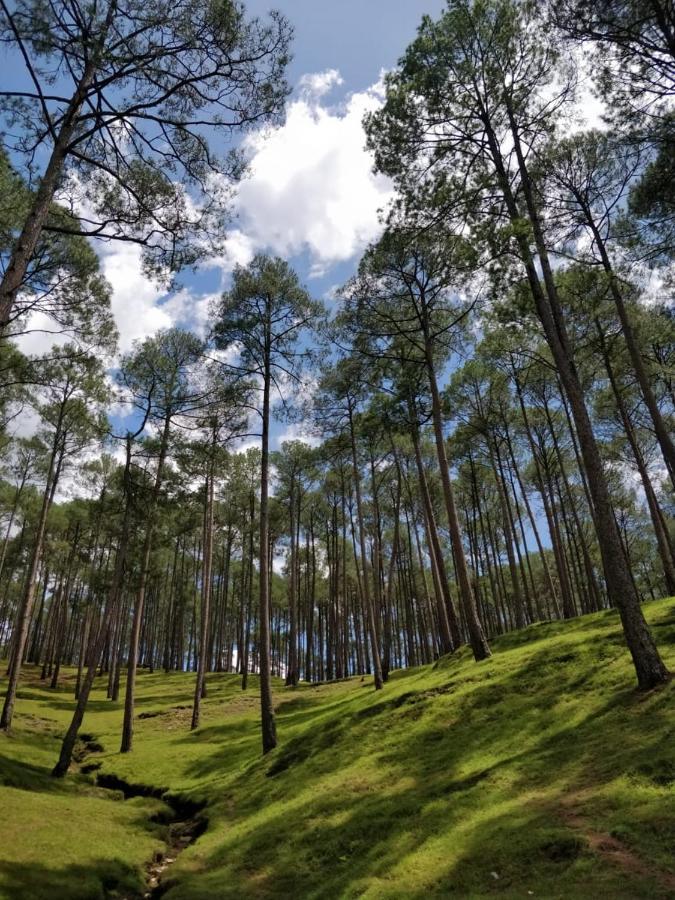 The Frostwood Resort Ranikhet Εξωτερικό φωτογραφία